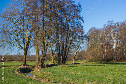 German countryside landscape in winter, Issum, Lower Rhine Region, Germany