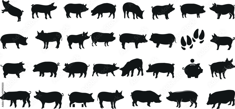 Black pig silhouettes, vector graphics. Various poses of Swine, Hog, Sow, Boar, Livestock, Ideal for farm, animal, agriculture designs. Editable elements Black pig silhouettes, vector graphics. Various poses of Swine, Hog, Sow, Boar, Livestock, Ideal for farm, animal, agriculture designs. Editable elements