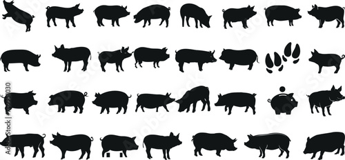 Black pig silhouettes, vector graphics. Various poses of Swine, Hog, Sow, Boar, Livestock, Ideal for farm, animal, agriculture designs. Editable elements