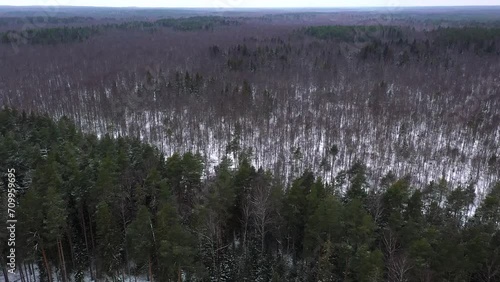 Flying above snow covered trees in winter forest. Shot from drone.