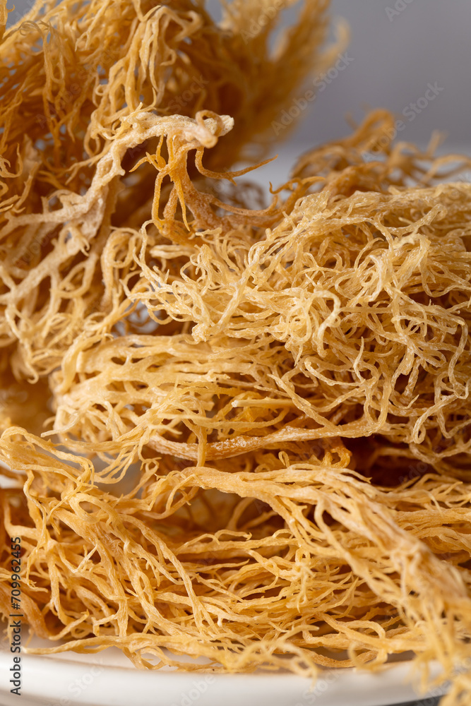 Sea Moss, irish wild harvested dried seaweed, healthy used as food supplement. Stock Photo