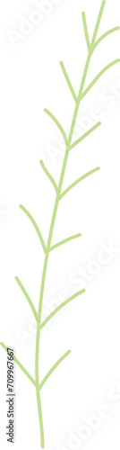 Wallpaper Mural Hand drawn leaves illustration, Transparent background	
 Torontodigital.ca