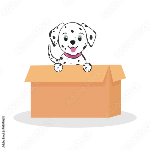 Cute dalmatian in a box. Vector illustration.