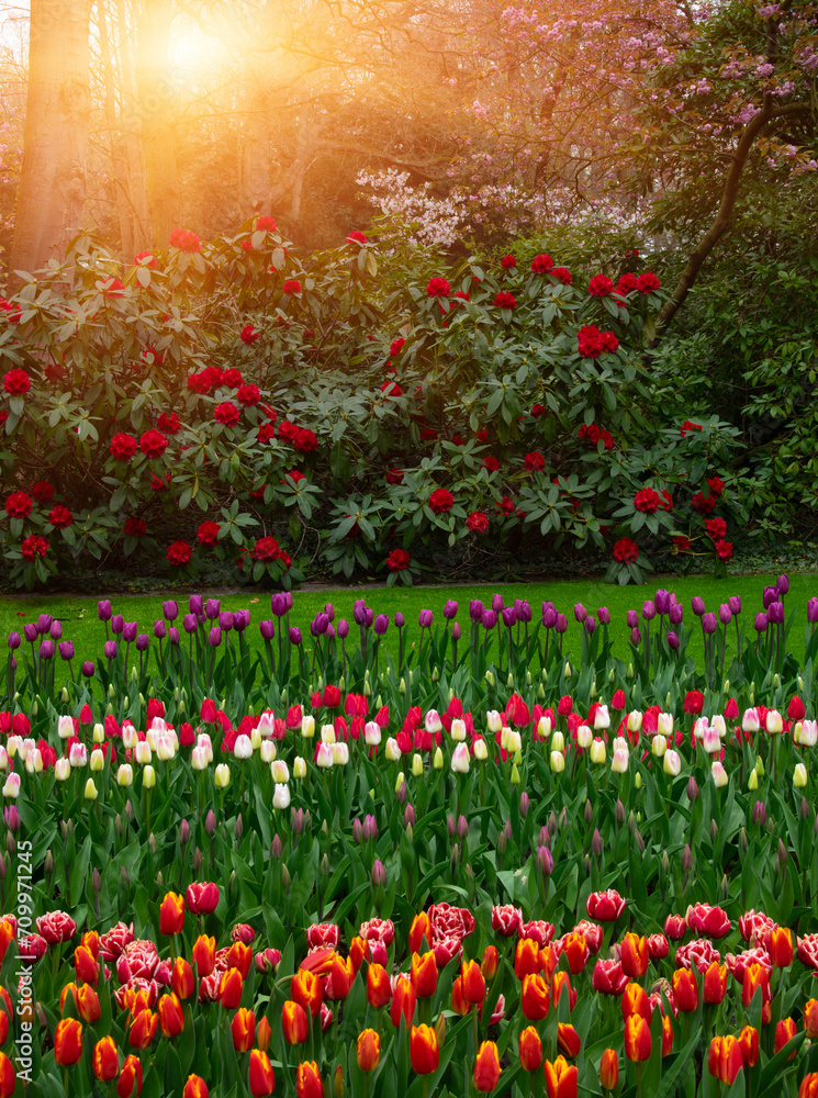Obraz premium Flowers in the park in spring