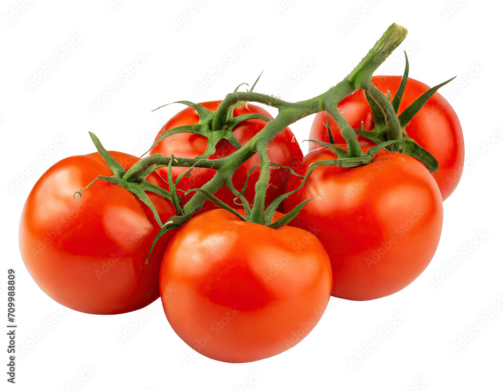 Branch of delicious fresh tomatoes - isolated Branch of delicious fresh tomatoes - isolated