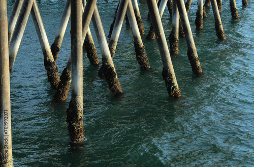 Redondo Beach Pier Pilings, Los Angeles County, California