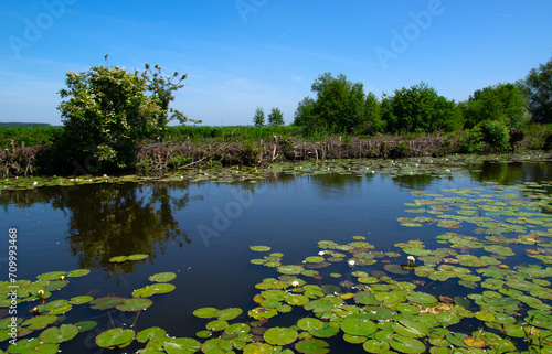 Landscape of a lake and blue sky