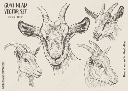 Set of hand drawn goat heads. Vector illustration in sketch style.