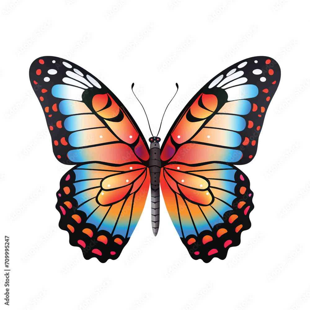 Obraz premium Butterfly elegance a creature of grace and beauty