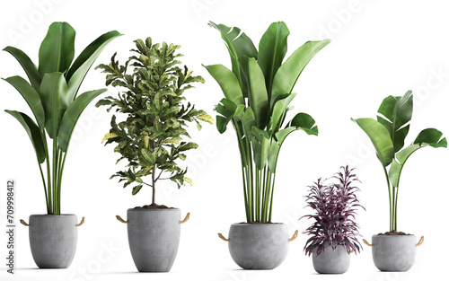 3D digital render of plant in concrete pots isolated on white background