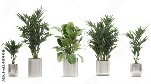 3D digital render of plant in concrete pots isolated on white background
