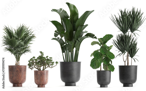 3D digital render of plant in a pot isolated on white background