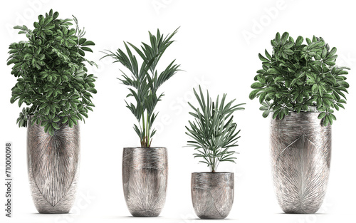 3D digital render of plant palm trees in a pot isolated on white background