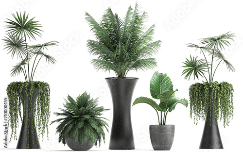 3D digital render of plant isolated on white background