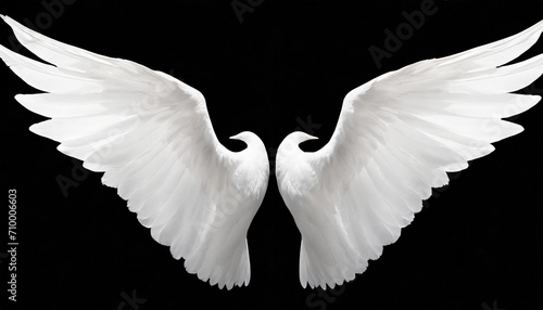 white angel wings on background png photo