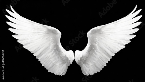 white angel wings on background png photo