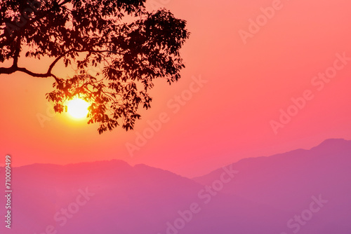 Silhouette branch tree over mountain at sunset. © nuttawutnuy