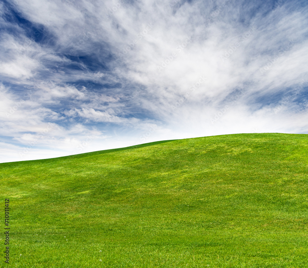 Summer landscape with meadow and scenic sky Summer landscape with meadow and scenic sky
