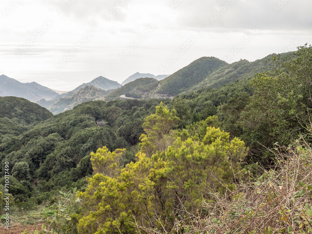 Fototapeta premium Dioe spanische Insel Teneriffa