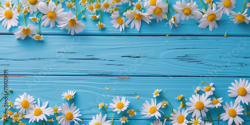 Daisies  on a blue background, copy space, woman's day banner, mother's day background © reddish
