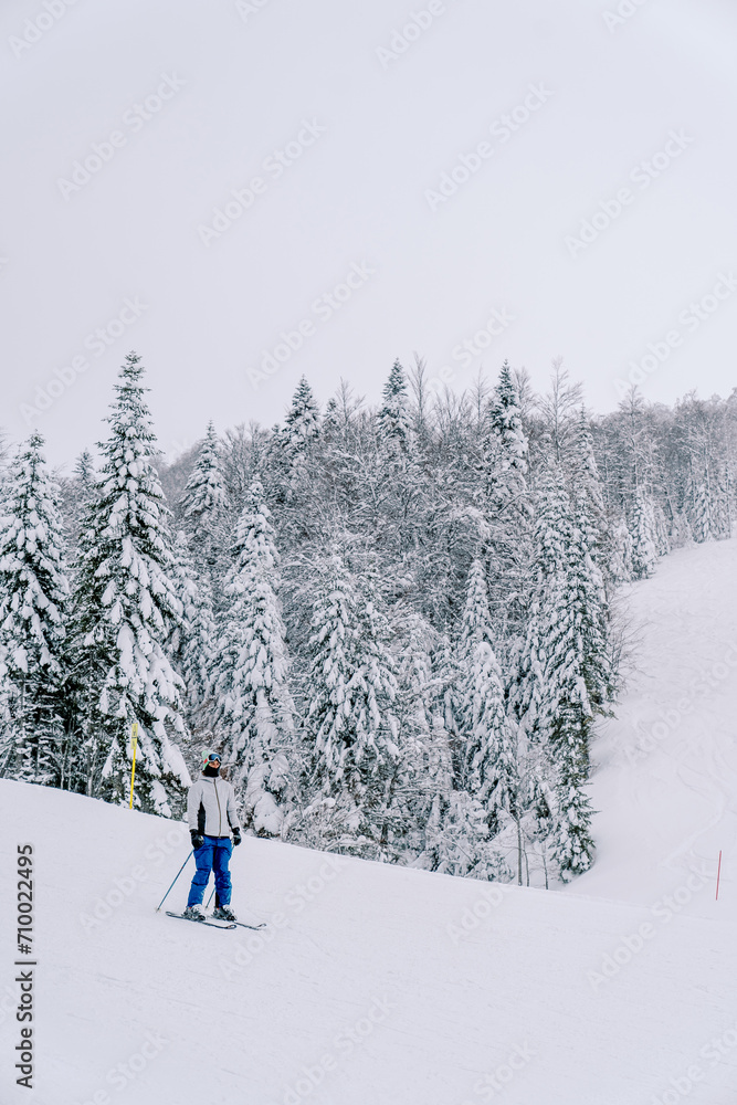 Skier skis down a hill along a snowy forest