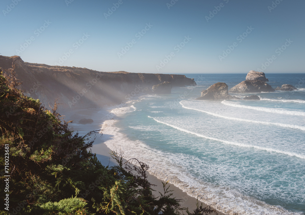 California Cove