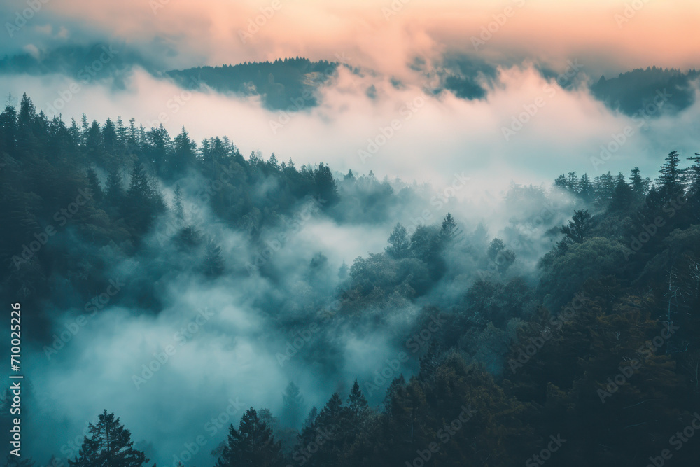 clouds over the mountains, misty forest clouds over the mountains, misty forest