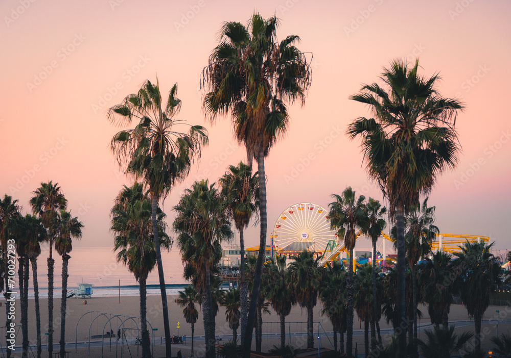 Santa Monica Pier with Palm Trees