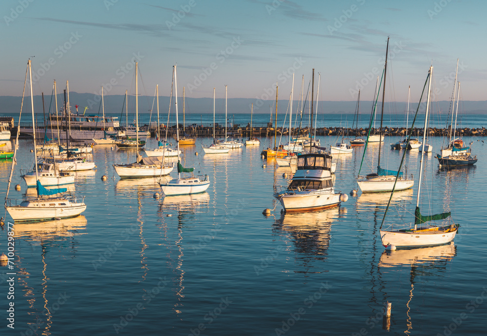 Monterey Harbor Sailboats