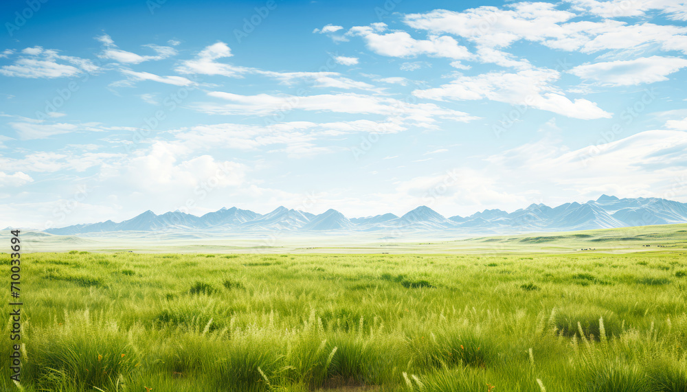 Tranquil Nature Landscape with Green Meadow and Sky