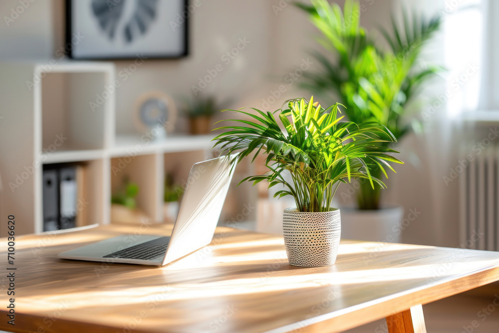 Fototapeta premium An elegant home office setup featuring a wooden desk, a laptop, and a potted plant, bathed in natural sunlight for a productive ambiance.