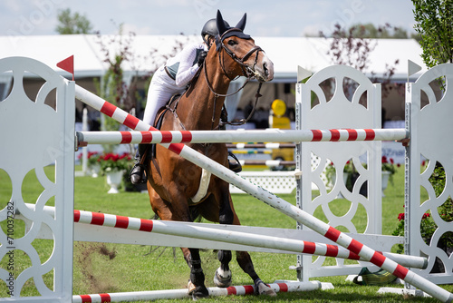 Equestrian Sports photo-themed: Horse jumping, Show Jumping, Horse riding. Horse hitting obstacle 