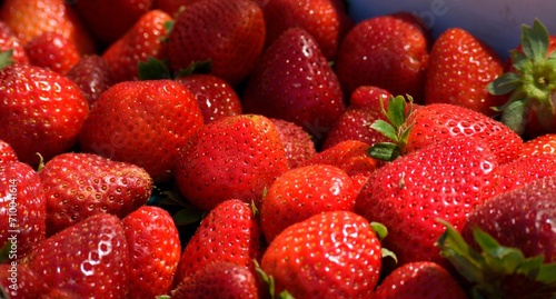 Vibrant red strawberries for sale at outdoor market place Florida, USA,