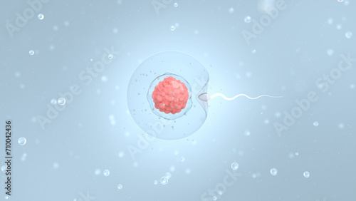 Sperm heading towards the egg froth  natural fertilization  3D illustration.