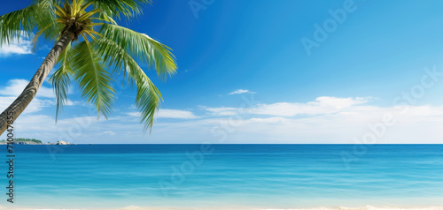 View of a beautiful tropical beach with sand and palm trees. Bright sun  island. Tourism  hobbies  recreation  travel  surfing. Background for advertising  sale of tour packages.