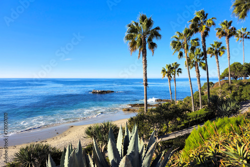 Fototapeta Naklejka Na Ścianę i Meble -  Laguna Beach ocean shoreline with palm trees at Heisler Park, California, USA