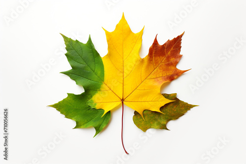 Realistic icon of recycling symbol made of green and autumn leaves, isolated white background created with Generative Ai