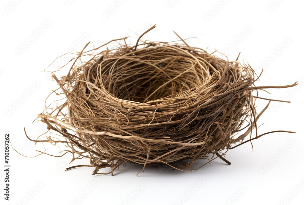 Obraz premium a birds nest is shown on a white background, in the style of tumblewave created with Generative Ai