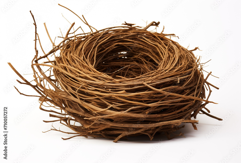 Obraz premium a birds nest is shown on a white background, in the style of tumblewave created with Generative Ai
