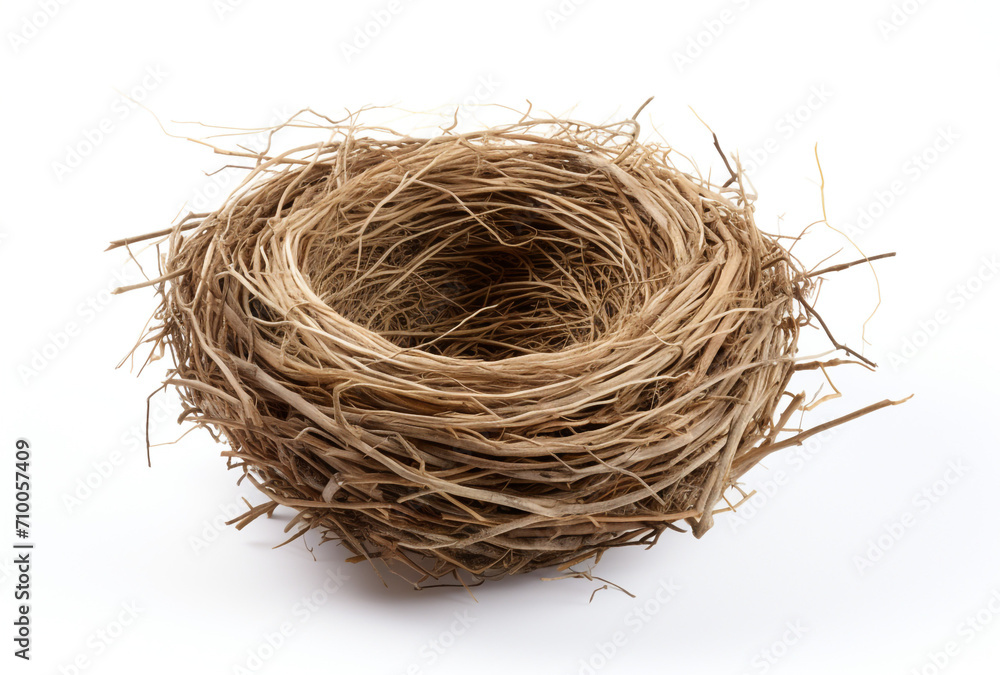 a birds nest is shown on a white background, in the style of tumblewave created with Generative Ai a birds nest is shown on a white background, in the style of tumblewave created with Generative Ai