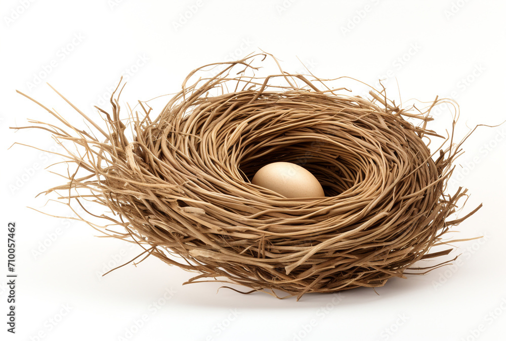 a birds nest is shown on a white background, in the style of tumblewave created with Generative Ai a birds nest is shown on a white background, in the style of tumblewave created with Generative Ai