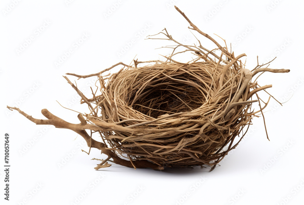 Obraz premium a birds nest is shown on a white background, in the style of tumblewave created with Generative Ai