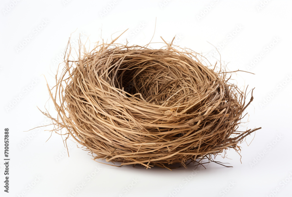 a birds nest is shown on a white background, in the style of tumblewave created with Generative Ai a birds nest is shown on a white background, in the style of tumblewave created with Generative Ai