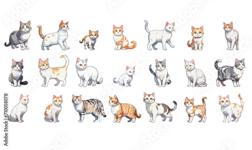 beagle cat isolated on white