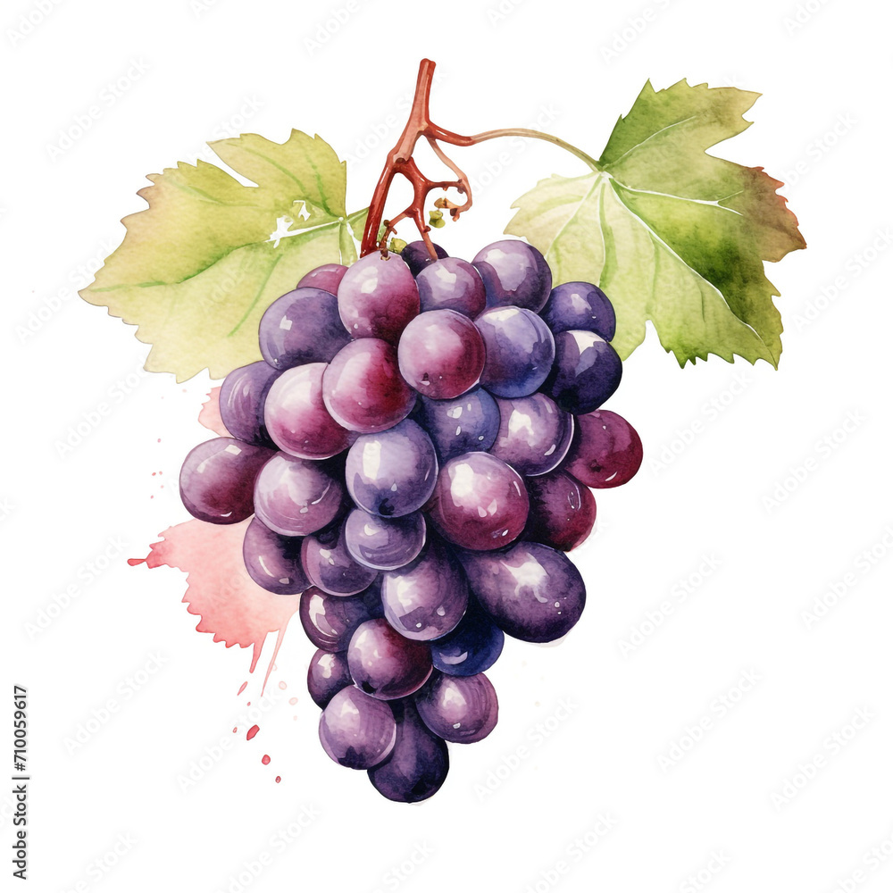 Fototapeta premium image of a grapes with an artistic watercolour style, isolated white background created with Generative Ai