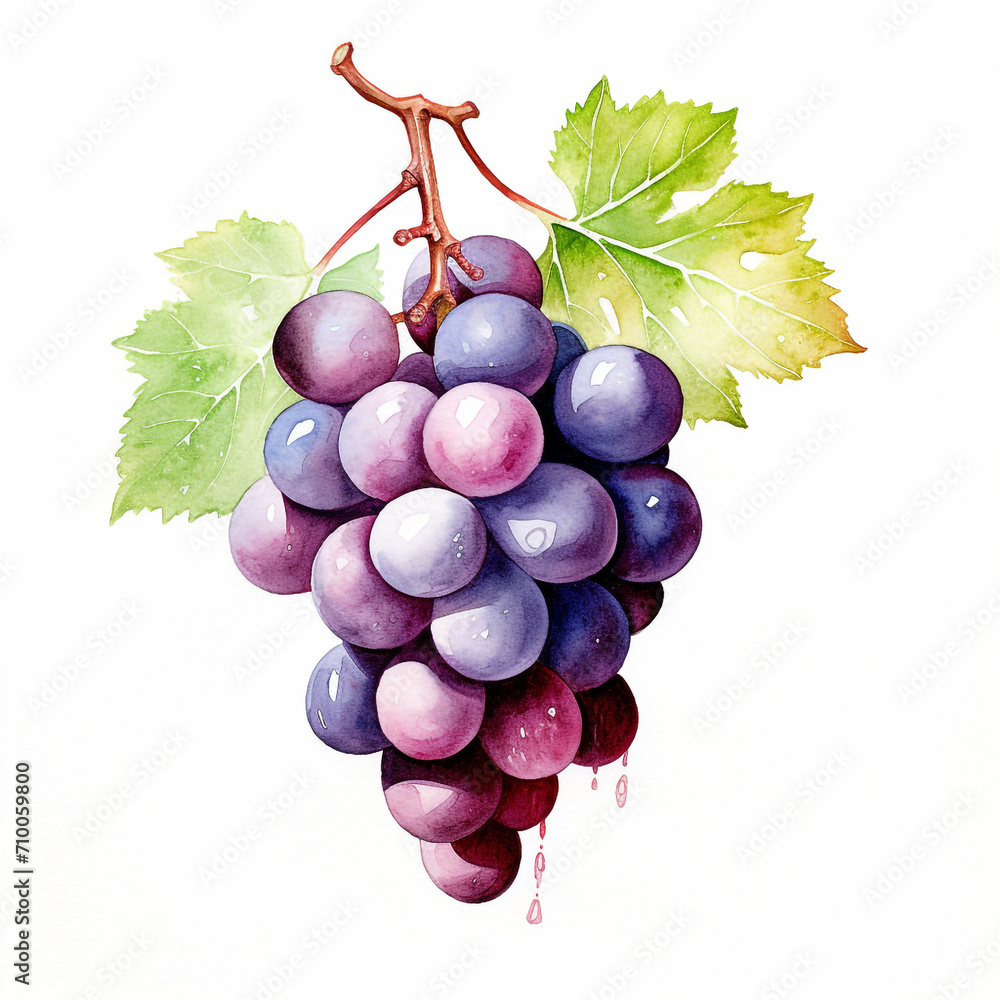 Fototapeta premium image of a grapes with an artistic watercolour style, isolated white background created with Generative Ai