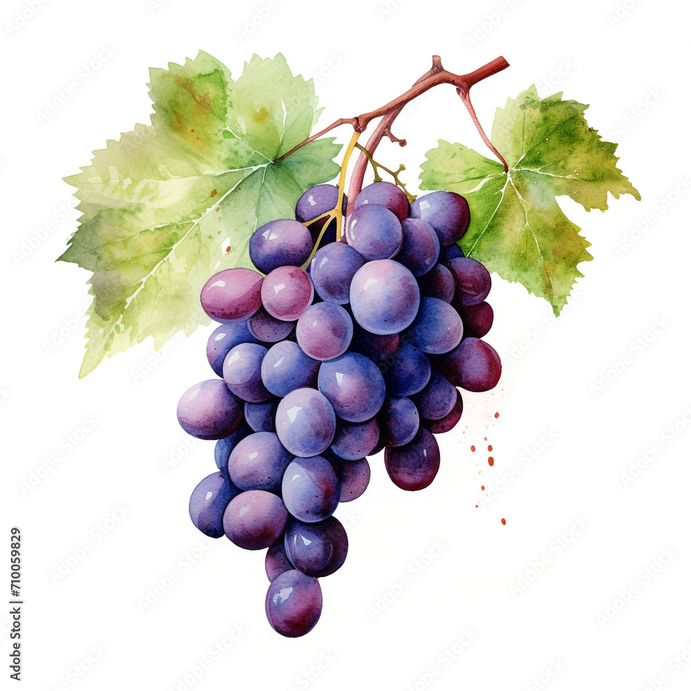 Fototapeta premium image of a grapes with an artistic watercolour style, isolated white background created with Generative Ai