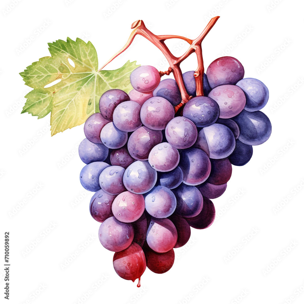 Fototapeta premium image of a grapes with an artistic watercolour style, isolated white background created with Generative Ai
