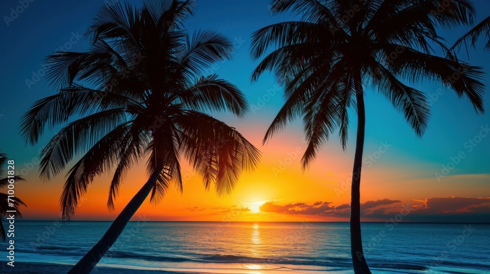 Evening on the beach with palm trees