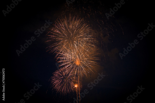 Wallpaper Mural フランストゥーロンの花火７月１４日 Torontodigital.ca